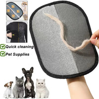 Professional Fabric & Hair Removal Mitt