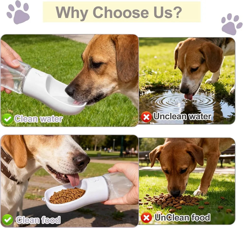 Dual-Action Portable Pet Hydration System